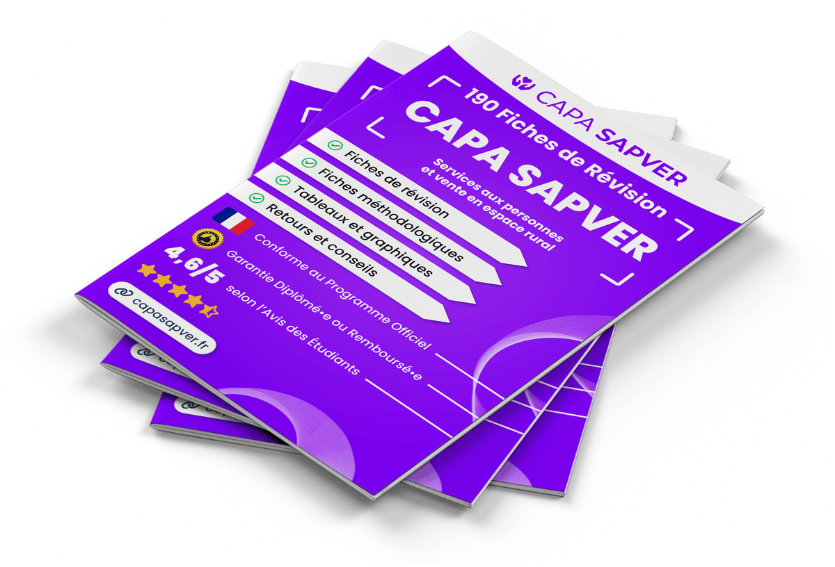 Image produit fiches-de-revision